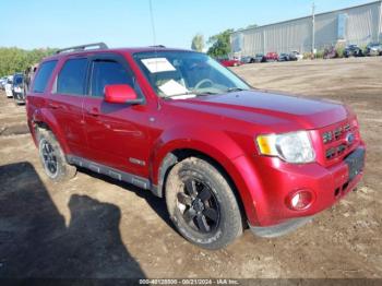  Salvage Ford Escape