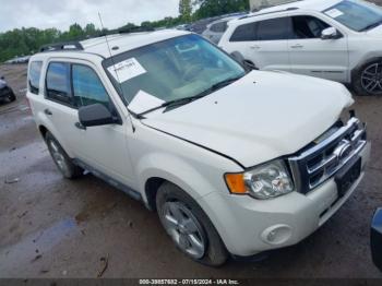  Salvage Ford Escape