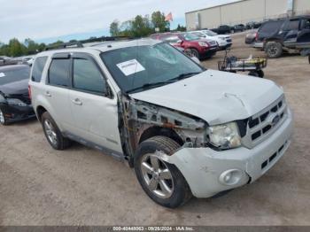  Salvage Ford Escape