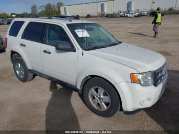  Salvage Ford Escape