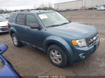  Salvage Ford Escape