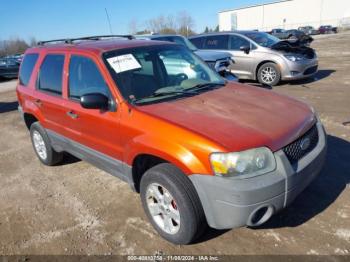  Salvage Ford Escape