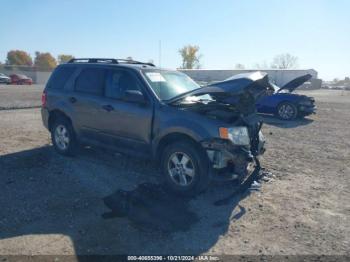  Salvage Ford Escape