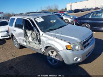  Salvage Ford Escape