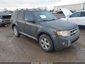  Salvage Ford Escape