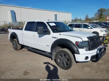  Salvage Ford F-150