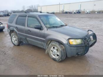  Salvage Ford Escape