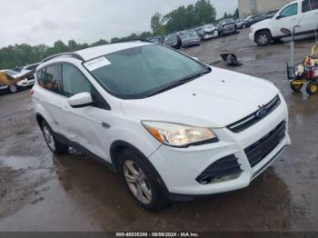  Salvage Ford Escape