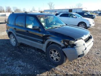  Salvage Ford Escape