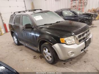  Salvage Ford Escape