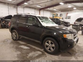  Salvage Ford Escape