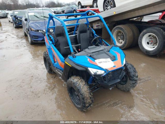  Salvage Polaris RZR