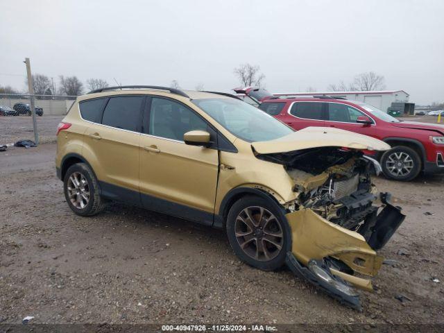  Salvage Ford Escape