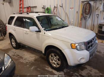  Salvage Ford Escape