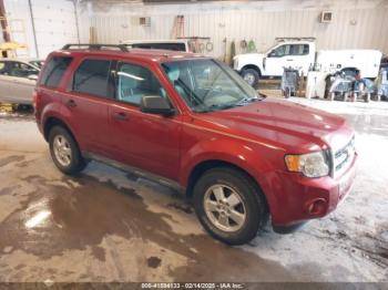  Salvage Ford Escape