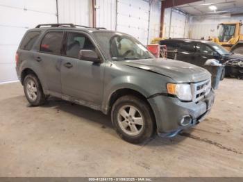  Salvage Ford Escape