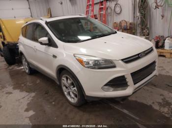  Salvage Ford Escape