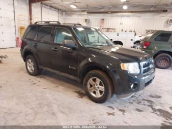  Salvage Ford Escape