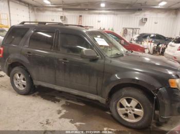  Salvage Ford Escape