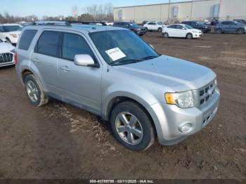  Salvage Ford Escape