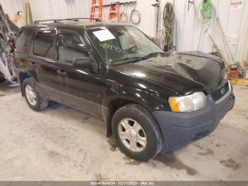  Salvage Ford Escape