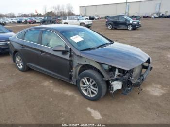 Salvage Hyundai SONATA