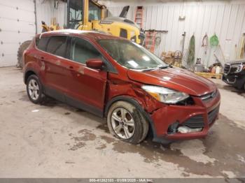 Salvage Ford Escape
