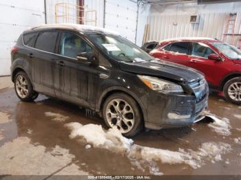  Salvage Ford Escape