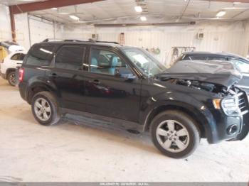  Salvage Ford Escape
