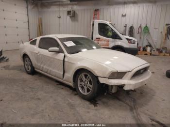  Salvage Ford Mustang