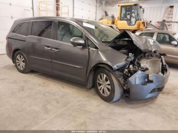  Salvage Honda Odyssey
