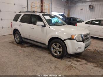  Salvage Ford Escape