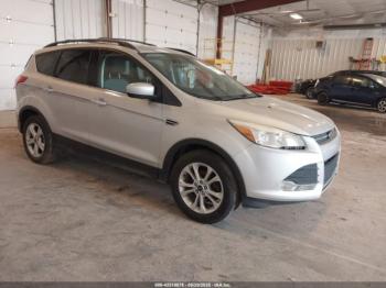  Salvage Ford Escape