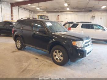  Salvage Ford Escape