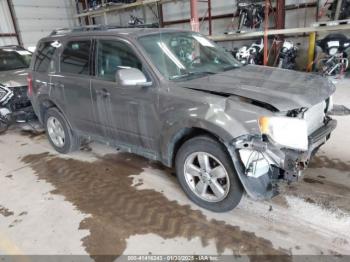  Salvage Ford Escape