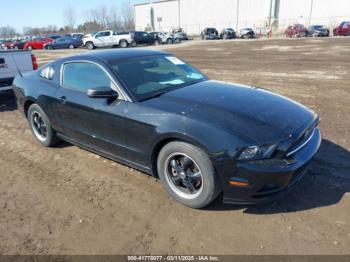  Salvage Ford Mustang