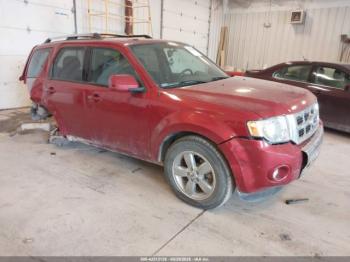  Salvage Ford Escape