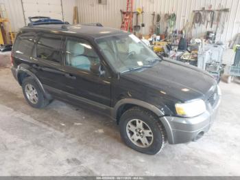  Salvage Ford Escape