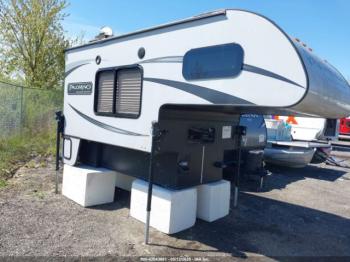  Salvage Palomino Other