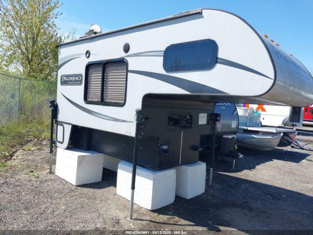  Salvage Palomino Other