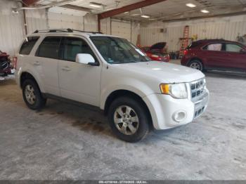  Salvage Ford Escape
