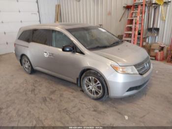  Salvage Honda Odyssey