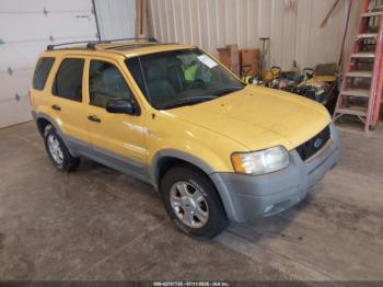  Salvage Ford Escape