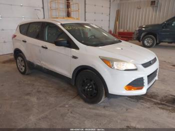  Salvage Ford Escape