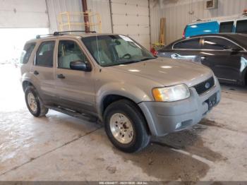  Salvage Ford Escape
