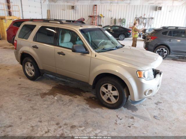  Salvage Ford Escape