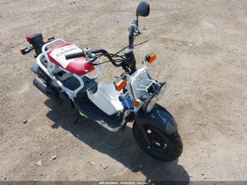  Salvage Honda Nps50