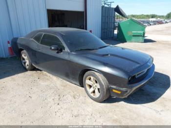  Salvage Dodge Challenger