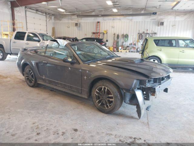  Salvage Ford Mustang
