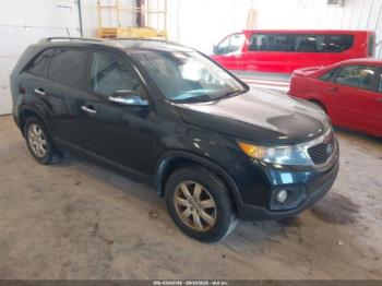  Salvage Kia Sorento